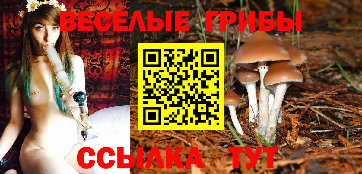 Галлюциногенные грибы мухоморы  Псилоцибиновые грибы Psilocybine cubensis  Долгопрудный  Вход с VPN 