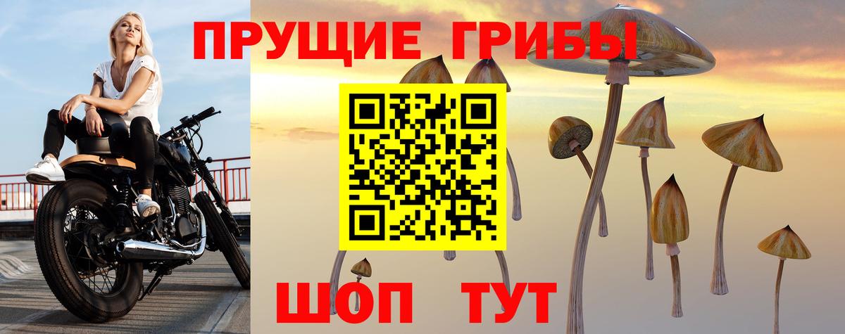 Псилоцибиновые грибы Cubensis Долгопрудный